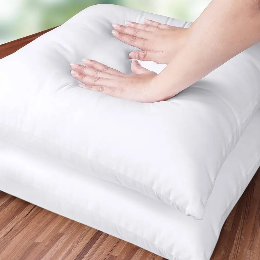18x18 Pillow Inserts, Set of 2, White