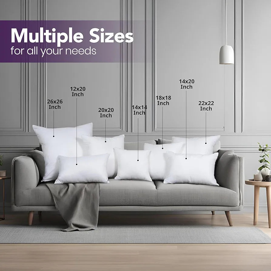 18x18 Pillow Inserts, Set of 2, White